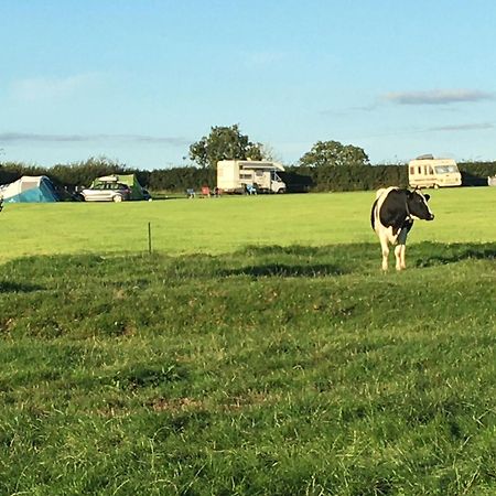 Carreg Y Gwynt Campsite - Touring And Tent Pitches Hotel Llanarth  Buitenkant foto