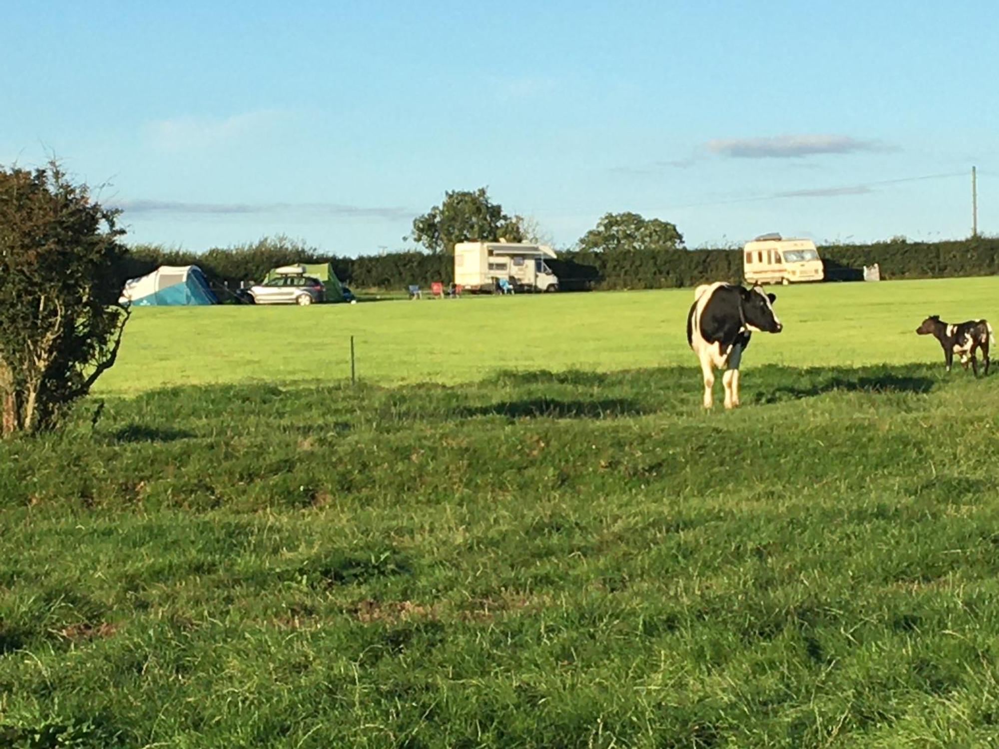 Carreg Y Gwynt Campsite - Touring And Tent Pitches Hotel Llanarth  Buitenkant foto